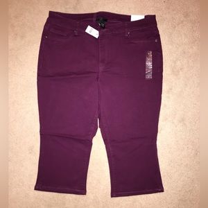 Lane Bryant Beet Pedal Pusher Capris New w Tag